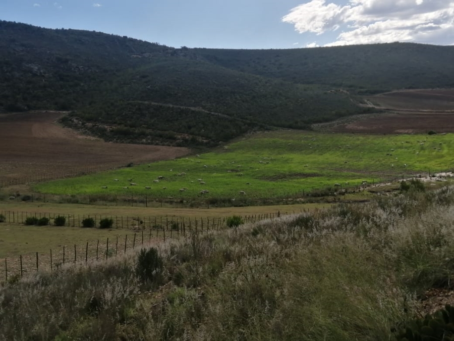 3 Bedroom Property for Sale in Joubertina Eastern Cape